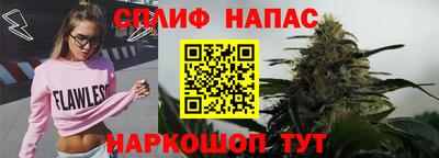 стафф Бийск