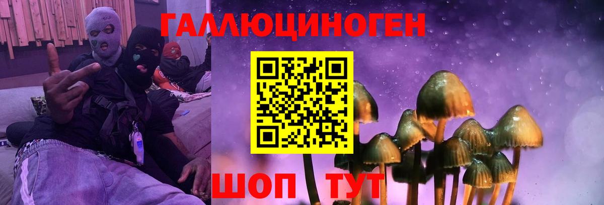 Галлюциногенные грибы Psilocybe Керчь